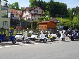 mauensee 20179